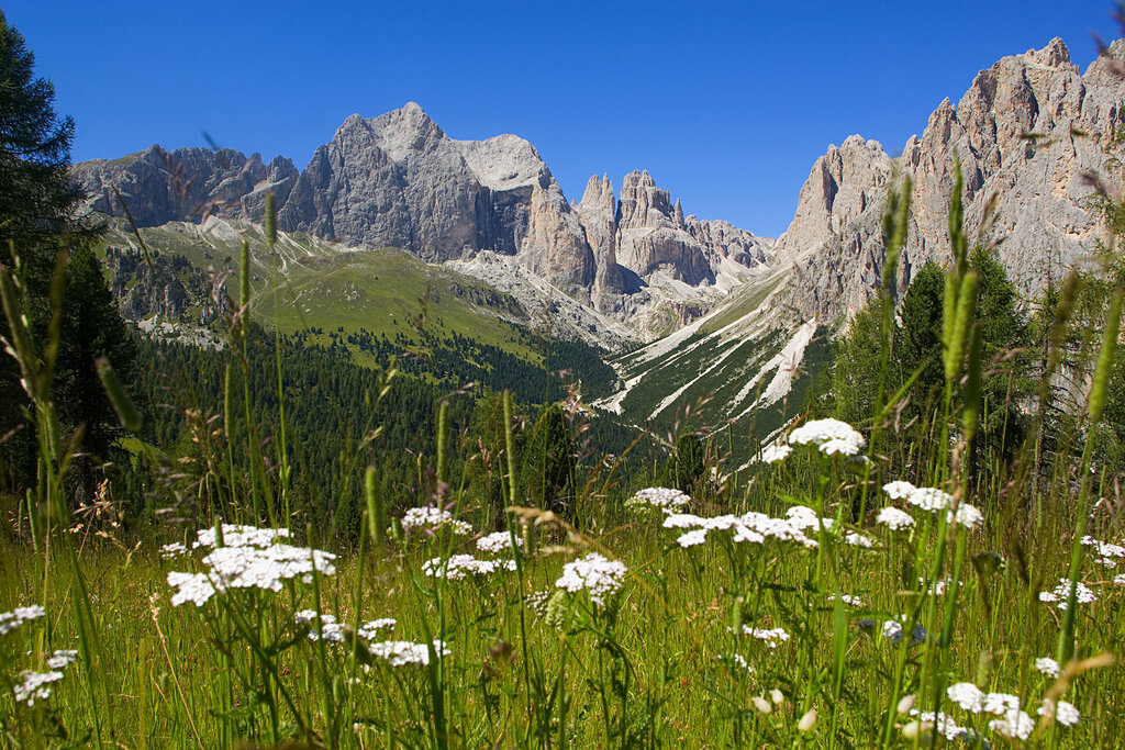 Content Dam Org 3 Images Full Rights Punti Panoramici Punto Panoramico Ciamped&igrave;e   Catinaccio Archivio Apt Val Di Fassa Ciampedie Catinaccio Vigo Estate 2